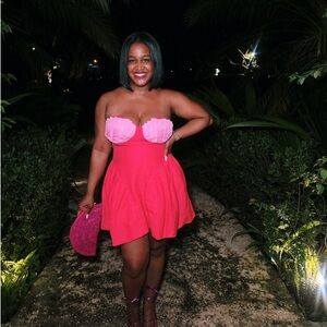 The Wolf Gang CeCe Mini Dress